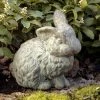 Cheap 👏 Campania International Animal Statues One Ear Up Rabbit Garden Statue 🌟 2 Cheap 👏 Campania International Animal Statues One Ear Up Rabbit Garden Statue 🌟 -Garden Statues Shop masterCIB077