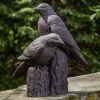 Best reviews of 🎉 Animal Statues Campania International Nevermore Garden Statue ✔️ -Garden Statues Shop masterCIB1142