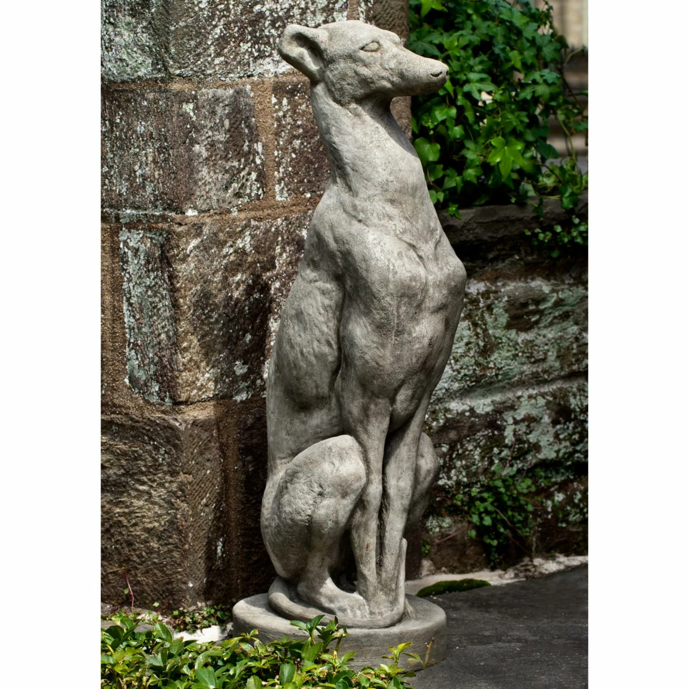 Brand new ๐ Animal Statues Campania International Antique Greyhound Garden Statue ๐คฉ 3 Brand new ๐ Animal Statues Campania International Antique Greyhound Garden Statue ๐คฉ