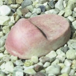 Wholesale 🛒 Other Garden Statues Campania International Mancini Pot Risers - Set Of 3 😀