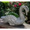 Buy 👏 Animal Statues Campania International Newport Swan Cast Stone Garden Statue 👍 1 Buy 👏 Animal Statues Campania International Newport Swan Cast Stone Garden Statue 👍 -Garden Statues Shop masterCIB1444