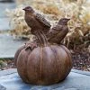 Flash Sale 👍 Animal Statues Campania International Birds On A Pumpkin Cast Stone Garden Statue 😀 -Garden Statues Shop masterCIB2018