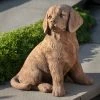 Promo π Animal Statues Campania International Golden Retriever Puppy Cast Stone Garden Statue π 1 Promo π Animal Statues Campania International Golden Retriever Puppy Cast Stone Garden Statue π -Garden Statues Shop masterCIB2030
