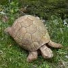Best deal β Animal Statues Campania International Turtle Cast Stone Garden Statue π 1 Best deal β Animal Statues Campania International Turtle Cast Stone Garden Statue π -Garden Statues Shop masterCIB530