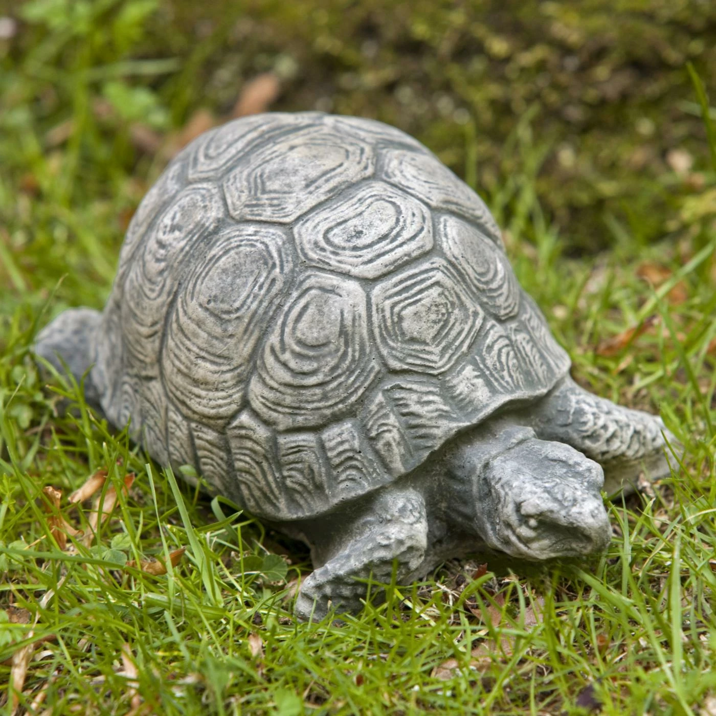 Top 10 π Animal Statues Campania International Small Turtle Cast Stone Garden Statue π 3 Top 10 π Animal Statues Campania International Small Turtle Cast Stone Garden Statue π