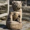Top 10 🎉 Animal Statues Campania International Petey The Bulldog Cast Stone Garden Statue ✔️ -Garden Statues Shop masterCIB547