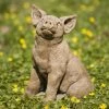 New 🔥 Animal Statues Campania International Perky Pig Cast Stone Garden Statue 👏 -Garden Statues Shop masterCIB548