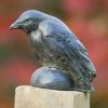 Discount ๐ Animal Statues Campania International Small Raven Cast Stone Garden Statue ๐ 2 Discount ๐ Animal Statues Campania International Small Raven Cast Stone Garden Statue ๐ -Garden Statues Shop masterCIB568