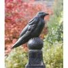 Deals 💯 Animal Statues Campania International Raven Cast Stone Garden Statue 🔥 1 Deals 💯 Animal Statues Campania International Raven Cast Stone Garden Statue 🔥 -Garden Statues Shop masterCIB570