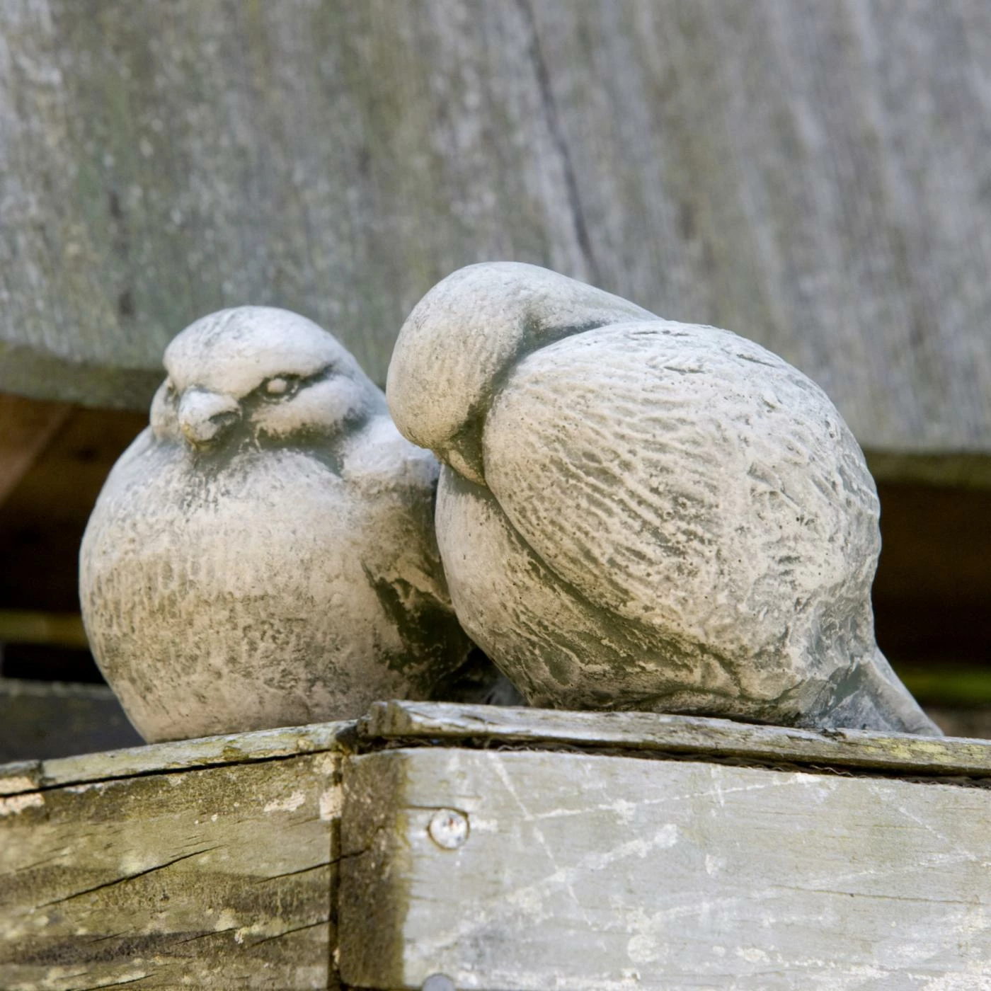 Budget π€© Animal Statues Campania International Bird Duet Cast Stone Garden Statue β€οΈ 3 Budget π€© Animal Statues Campania International Bird Duet Cast Stone Garden Statue β€οΈ