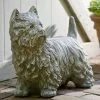 Best Pirce β¨ Animal Statues Campania International Westie The Pup Cast Stone Garden Statue π 1 Best Pirce β¨ Animal Statues Campania International Westie The Pup Cast Stone Garden Statue π -Garden Statues Shop masterCIB585