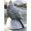 Cheap π Animal Statues Campania International Cardinal Cast Stone Garden Statue π 2 Cheap π Animal Statues Campania International Cardinal Cast Stone Garden Statue π -Garden Statues Shop masterCIB592