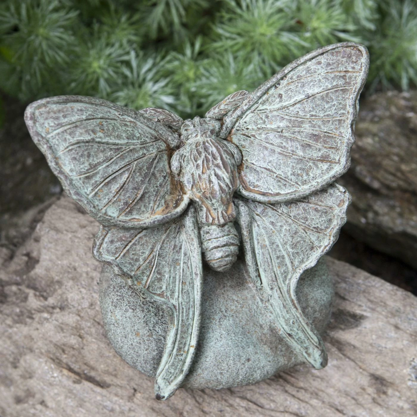 Cheap π Animal Statues Campania International Lunar Moth Cast Stone Garden Statue β€οΈ 3 Cheap π Animal Statues Campania International Lunar Moth Cast Stone Garden Statue β€οΈ