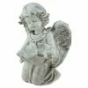 Cheapest ๐ Angel & Cherub Statues Northlight Heavenly Gardens Kneeling Cherub Angel Bird Feeder Outdoor Garden Statue ๐ 2 Cheapest ๐ Angel & Cherub Statues Northlight Heavenly Gardens Kneeling Cherub Angel Bird Feeder Outdoor Garden Statue ๐ -Garden Statues Shop masterGORD130