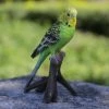 Best reviews of 😉 Animal Statues Hi-Line Gift Ltd. Budgie On Branch Garden Statue ⌛ -Garden Statues Shop masterHILI060