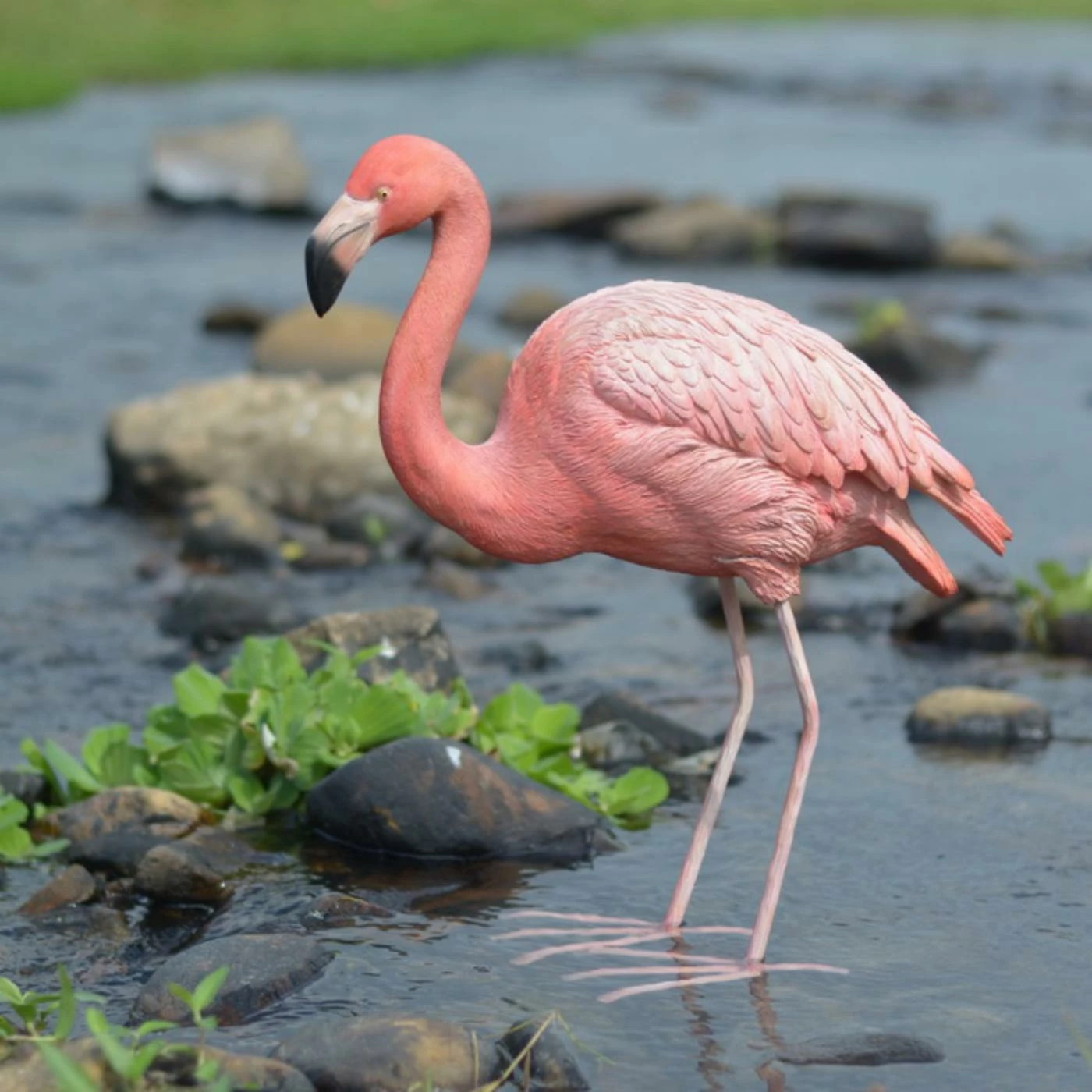 Flash Sale ๐ Animal Statues Hi-Line Gift Ltd. Flamingo Bird Garden Statue ๐ 3 Flash Sale ๐ Animal Statues Hi-Line Gift Ltd. Flamingo Bird Garden Statue ๐