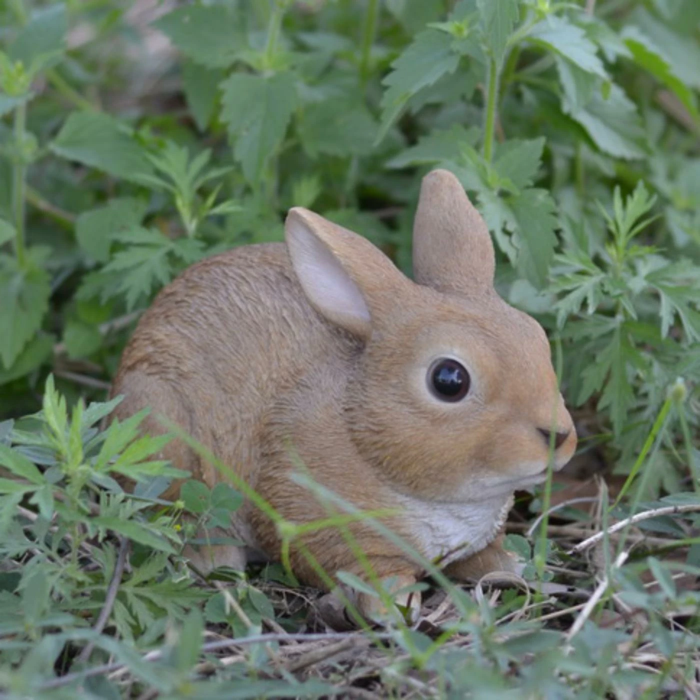 Brand new ๐คฉ Animal Statues Hi-Line Gift Ltd. Sitting Hidden Rabbit Garden Statue ๐ 3 Brand new ๐คฉ Animal Statues Hi-Line Gift Ltd. Sitting Hidden Rabbit Garden Statue ๐