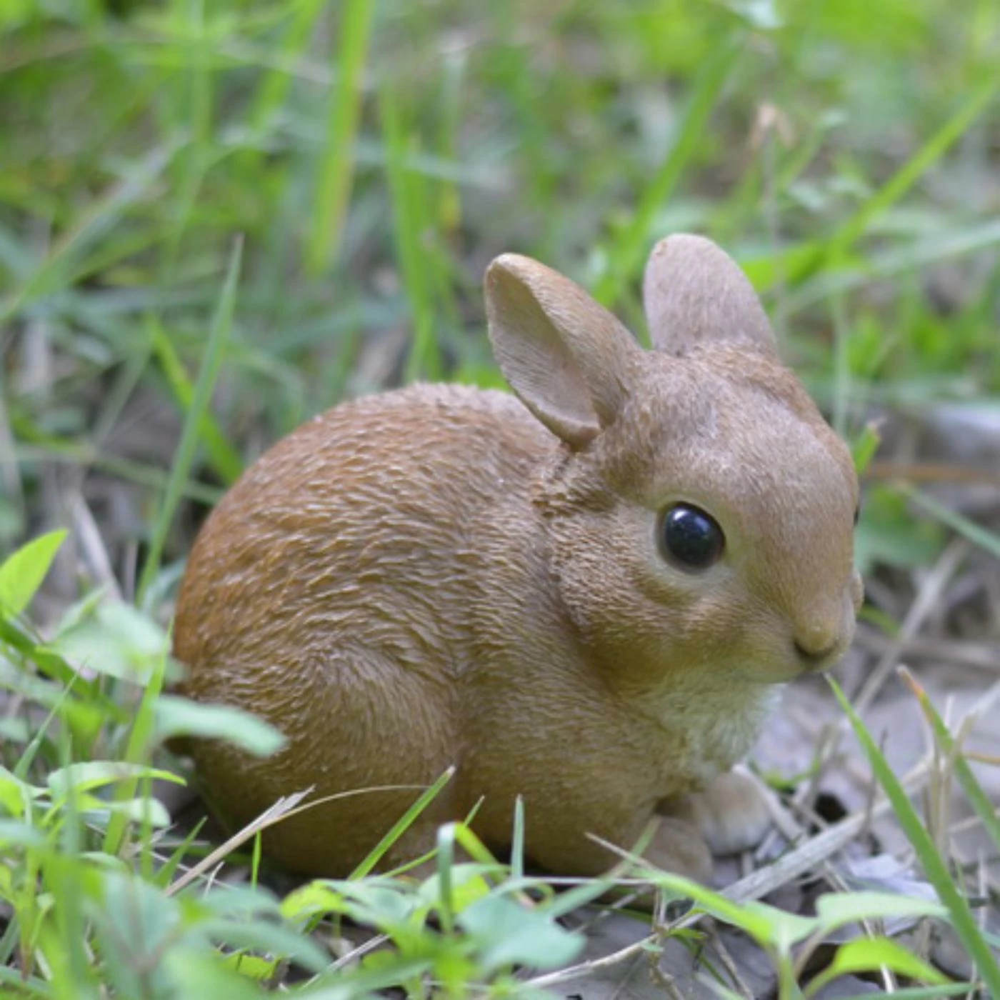 Best Pirce ๐คฉ Animal Statues Hi-Line Gift Ltd. Sitting Shy Rabbit Garden Statue ๐ 3 Best Pirce ๐คฉ Animal Statues Hi-Line Gift Ltd. Sitting Shy Rabbit Garden Statue ๐