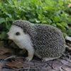 New π Animal Statues Hi-Line Gift Ltd. Crawling Hedgehog Garden Statue π€© 1 New π Animal Statues Hi-Line Gift Ltd. Crawling Hedgehog Garden Statue π€© -Garden Statues Shop masterHILI077