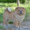 Best reviews of 🔔 Animal Statues Hi-Line Gift Ltd. Standing Chow Chow 🦮 Dog Garden Statue 🧨 -Garden Statues Shop masterHILI085