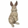 Top 10 ๐ Animal Statues Hi-Line Gift Ltd. Driftwood Standing Rabbit Figurine ๐ฅฐ 1 Top 10 ๐ Animal Statues Hi-Line Gift Ltd. Driftwood Standing Rabbit Figurine ๐ฅฐ -Garden Statues Shop masterHILI1051