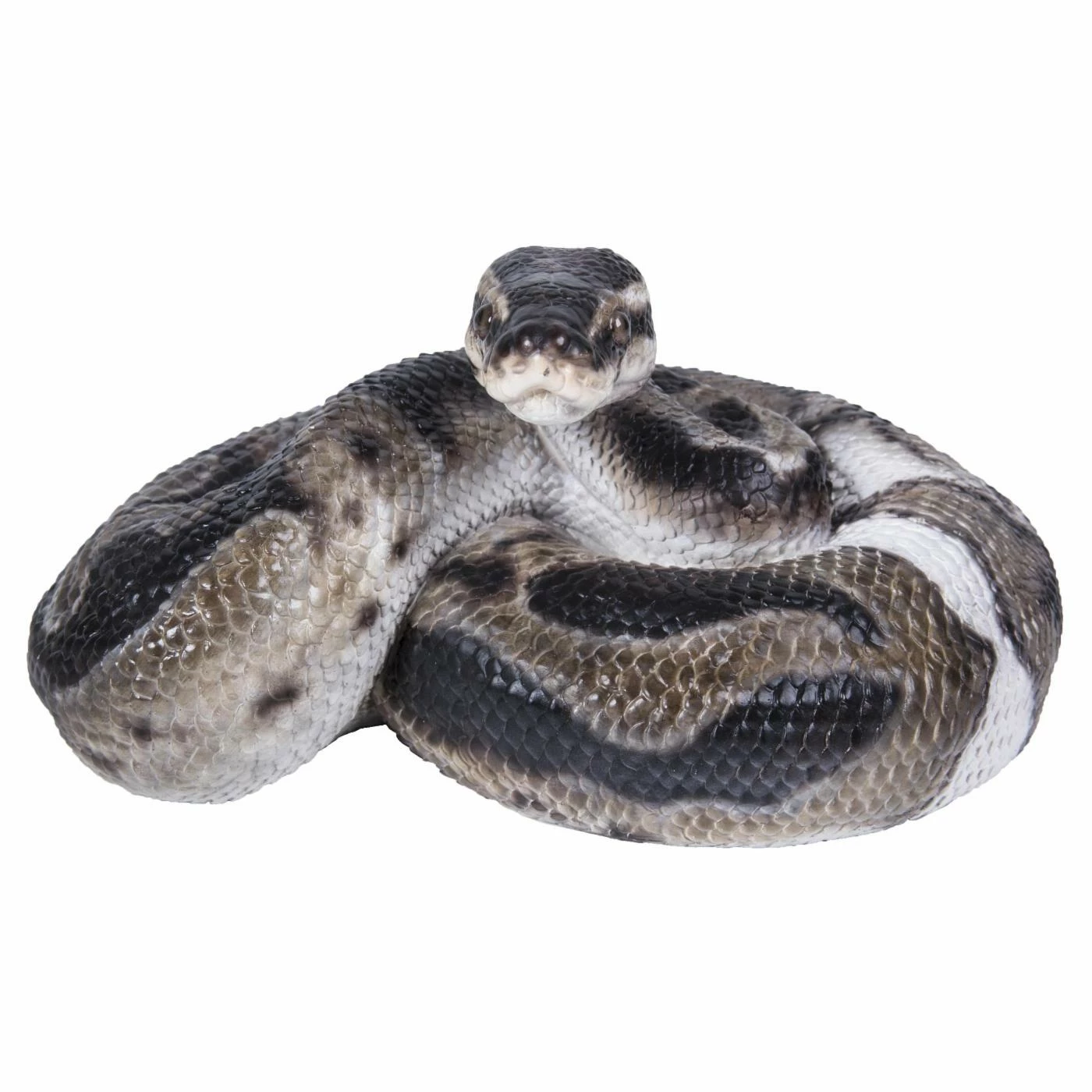 Cheapest ✨ Animal Statues Hi-Line Gift Ltd. Regius Ball Python Figurine 🔥 3 Cheapest ✨ Animal Statues Hi-Line Gift Ltd. Regius Ball Python Figurine 🔥