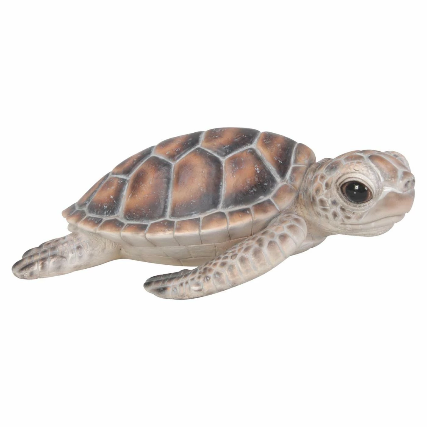 Cheap ✔️ Animal Statues Hi-Line Gift Ltd. Baby Sea Turtle Figurine ⌛ 3 Cheap ✔️ Animal Statues Hi-Line Gift Ltd. Baby Sea Turtle Figurine ⌛