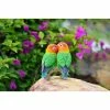 Buy 🎉 Animal Statues Hi-Line Gift Ltd. Parrots On Branch Garden Statue 🔥 -Garden Statues Shop masterHILI129