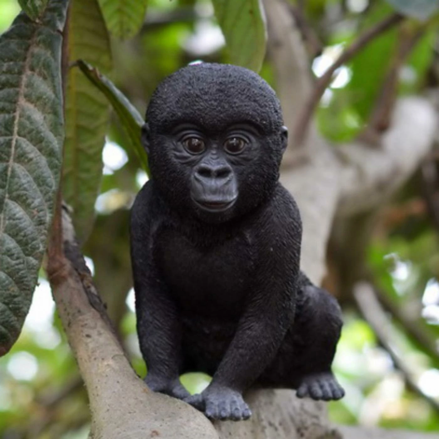 Top 10 ๐ฅ Animal Statues Hi-Line Gift Ltd. Baby Gorilla Garden Statue ๐งจ 3 Top 10 ๐ฅ Animal Statues Hi-Line Gift Ltd. Baby Gorilla Garden Statue ๐งจ