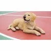 Outlet 🔔 Animal Statues Hi-Line Gift Ltd. Yellow Labrador Retriever Lying Down Indoor/Outdoor Statue 🎁 -Garden Statues Shop masterHILI426