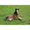 Buy ๐ฏ Animal Statues Hi-Line Gift Ltd. Horse Colt Laying Down Indoor/Outdoor Statue ๐ 1 Buy ๐ฏ Animal Statues Hi-Line Gift Ltd. Horse Colt Laying Down Indoor/Outdoor Statue ๐ -Garden Statues Shop masterHILI435