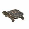 Best Sale ⌛ Animal Statues Hi-Line Gift Ltd. Large Spotted Turtle Indoor/Outdoor Statue ❤️ -Garden Statues Shop masterHILI458