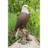 Best reviews of ✨ Animal Statues Hi-Line Gift Ltd. Medium Bald Eagle On Stump Statue ❤️ -Garden Statues Shop masterHILI528