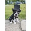 Buy 🎉 Animal Statues Hi-Line Gift Ltd. Boston Terrier With Top Hat And Spectacle And Bow Tie Statue ⌛ -Garden Statues Shop masterHILI530
