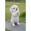 Discount ๐งจ Animal Statues Hi-Line Gift Ltd. Poodle Puppy Playing Statue ๐ 1 Discount ๐งจ Animal Statues Hi-Line Gift Ltd. Poodle Puppy Playing Statue ๐ -Garden Statues Shop masterHILI532