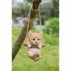 Outlet 😉 Animal Statues Hi-Line Gift Ltd. Hanging Tabby Kitten Statue 🌟 -Garden Statues Shop masterHILI540
