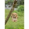 Best reviews of 🔔 Animal Statues Hi-Line Gift Ltd. Hanging Golden Retriever Puppy Statue 💯 -Garden Statues Shop masterHILI542