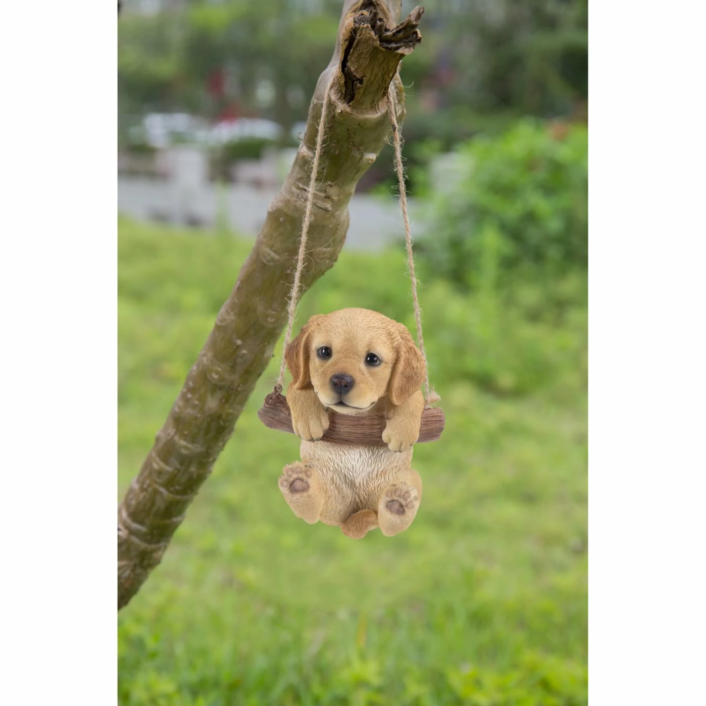 Best reviews of ๐ Animal Statues Hi-Line Gift Ltd. Hanging Golden Retriever Puppy Statue ๐ฏ 3 Best reviews of ๐ Animal Statues Hi-Line Gift Ltd. Hanging Golden Retriever Puppy Statue ๐ฏ