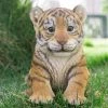 New ✨ Animal Statues Hi-Line Gift Ltd. Sitting Tiger Cub Statue 🌟 2 New ✨ Animal Statues Hi-Line Gift Ltd. Sitting Tiger Cub Statue 🌟 -Garden Statues Shop masterHILI553