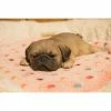 Brand new 😉 Animal Statues Hi-Line Gift Ltd. Pug Puppy Sleeping 🎁 -Garden Statues Shop masterHILI569
