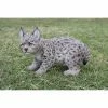 Best Sale 🔔 Animal Statues Hi-Line Gift Ltd. Lynx Kitten 🎉 -Garden Statues Shop masterHILI571
