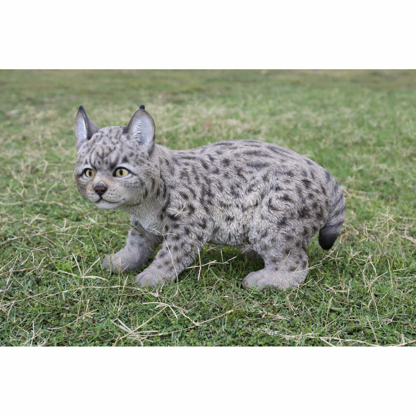 Best Sale 🔔 Animal Statues Hi-Line Gift Ltd. Lynx Kitten 🎉 3 Best Sale 🔔 Animal Statues Hi-Line Gift Ltd. Lynx Kitten 🎉