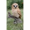 Budget ⌛ Animal Statues Hi-Line Gift Ltd. Tawny Owl On Stump 🎉 -Garden Statues Shop masterHILI574
