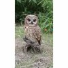 Discount ๐ Animal Statues Hi-Line Gift Ltd. Brown Owl On Stump ๐งจ 2 Discount ๐ Animal Statues Hi-Line Gift Ltd. Brown Owl On Stump ๐งจ -Garden Statues Shop masterHILI575