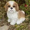 Cheap 🎁 Animal Statues Hi-Line Gift Ltd. Brown And White Shih Tzu Sitting 🥰 2 Cheap 🎁 Animal Statues Hi-Line Gift Ltd. Brown And White Shih Tzu Sitting 🥰 -Garden Statues Shop masterHILI600