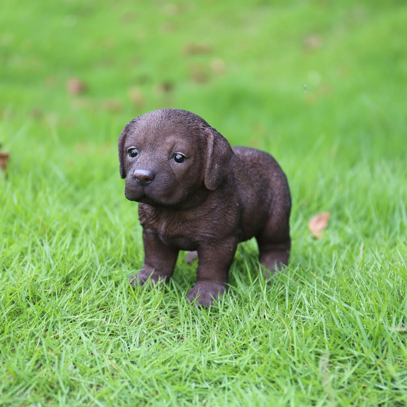 Discount 🛒 Animal Statues Hi-Line Gift Ltd. Chocolate Standing Labrador Puppy Statue 👍 3 Discount 🛒 Animal Statues Hi-Line Gift Ltd. Chocolate Standing Labrador Puppy Statue 👍
