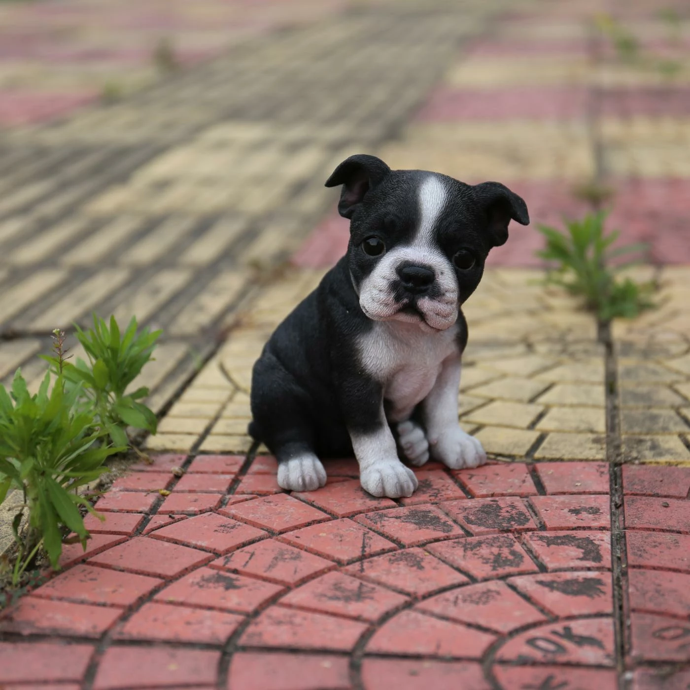 Cheap π Animal Statues Hi-Line Gift Ltd. Boston Terrier Puppy Statue π 3 Cheap π Animal Statues Hi-Line Gift Ltd. Boston Terrier Puppy Statue π