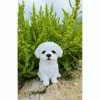 Flash Sale ❤️ Animal Statues Hi-Line Gift Ltd. Maltese Puppy Statue 🤩 -Garden Statues Shop masterHILI613