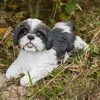Best reviews of ❤️ Animal Statues Hi-Line Gift Ltd. Black And White Shih Tzu Lying Down ⌛ 1 Best reviews of ❤️ Animal Statues Hi-Line Gift Ltd. Black And White Shih Tzu Lying Down ⌛ -Garden Statues Shop masterHILI619