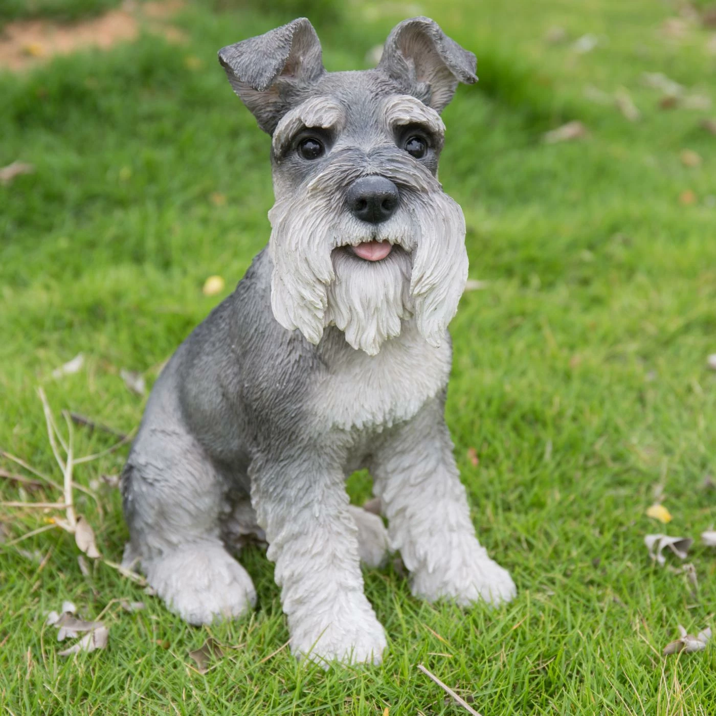 New โญ Animal Statues Hi-Line Gift Ltd. Grey Schnauzer Statue ๐ฏ 3 New โญ Animal Statues Hi-Line Gift Ltd. Grey Schnauzer Statue ๐ฏ